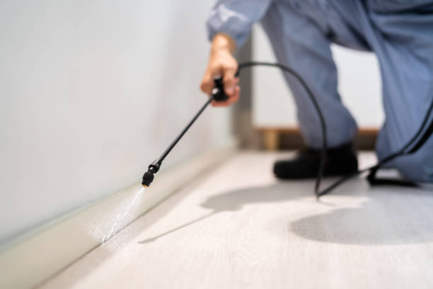 Licensed Fumigation Services service in Encinal, TX - Nex Pest Control