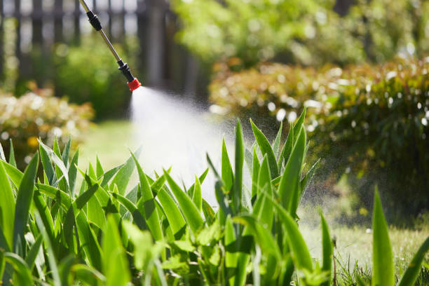 24/7 Emergency Fumigation Services experts in Encinal, TX